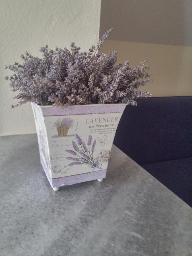 Bed and breakfast House Biba & Leona 3*